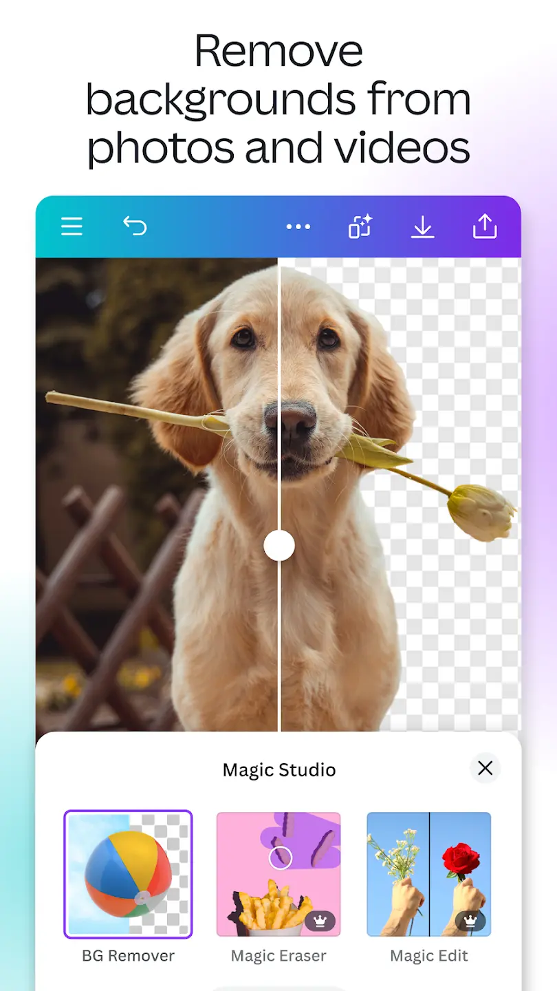 Canva MOD APK screenshot 6