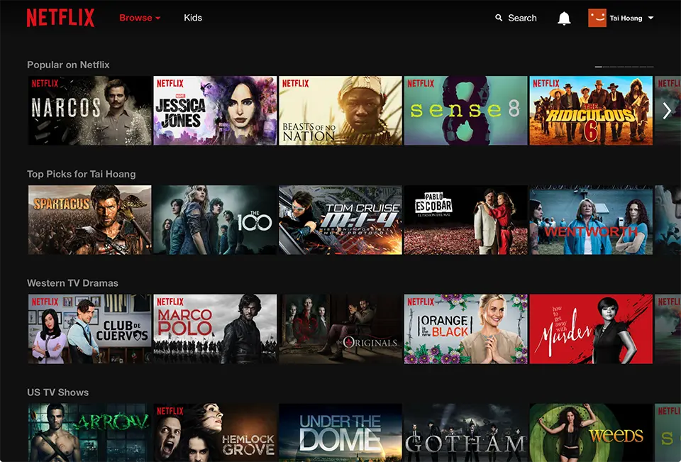 Netflix movie and series library