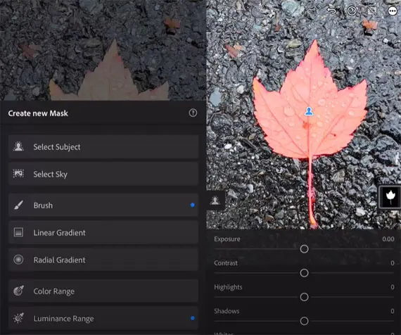 Lightroom masking feature