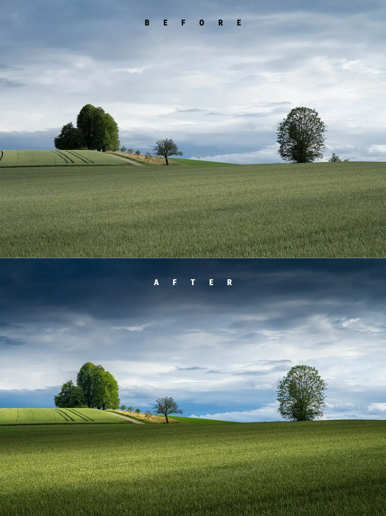 Before and after Lightroom editing