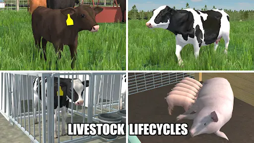 American Farming MOD APK screenshot 3