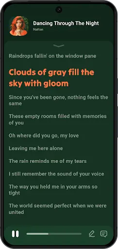 Lark Player APK screenshot 3