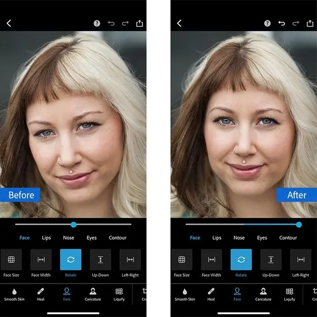 Advanced Control Panels in Photoshop Express Pro